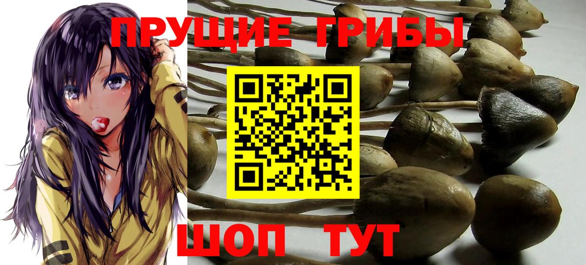 цены   Галлюциногенные грибы Magic Shrooms  Ессентуки  Вход с VPN  Псилоцибиновые грибы прущие грибы 